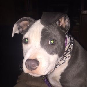 Meet your Posher, Sarahsarah